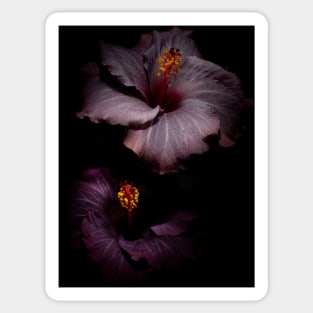 Hawaiian hibiscus Sticker